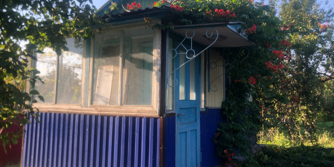 Теплица из подручных материалов и домик для души