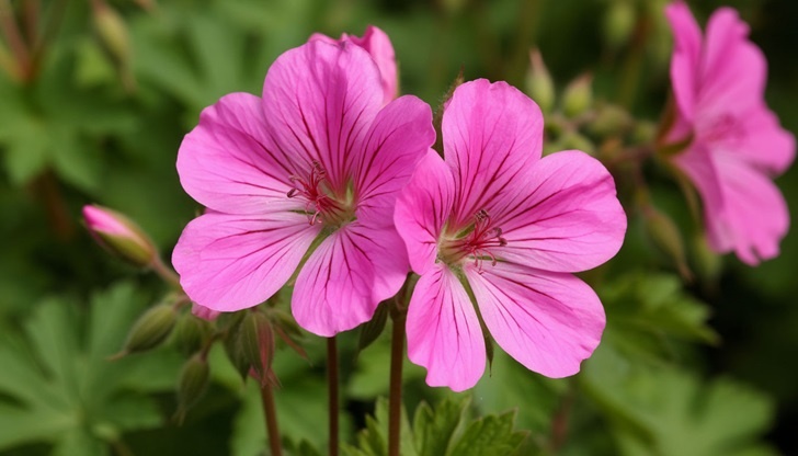    Фото: Пруфы