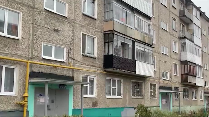  Фото: Скриншот НТВ