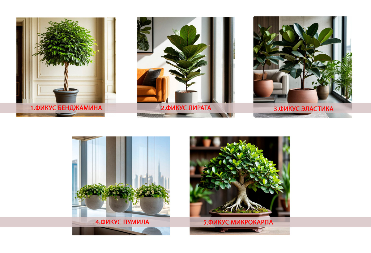 Выберите растение — а мы расскажем, что вы скрываете от других. Результаты шокируют!      Не задумывайтесь — щелкайте на первый приглянувшийся вариант. Ваша интуиция уже все решила!