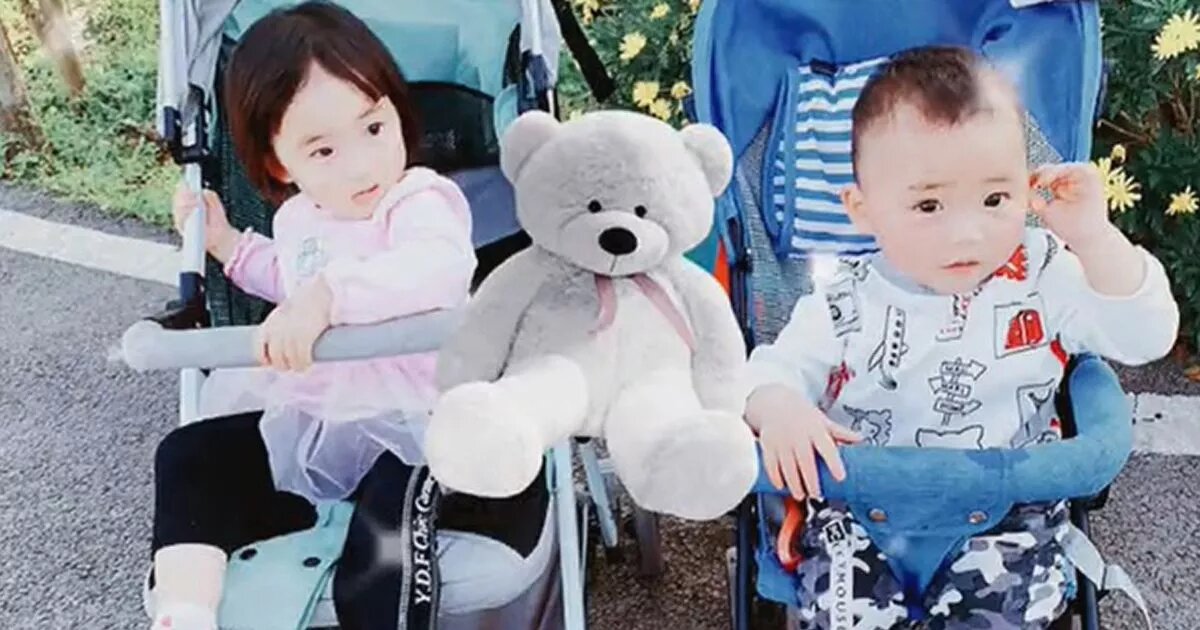 Фотография Сюэ-Сюэ и Ян-Яна