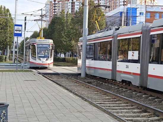    Фото: Юрий Серебренников/BFM Кубань