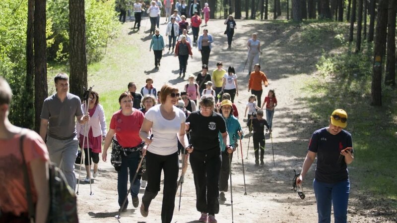     Больше тысячи человек посетили день ходьбы на барнаульской трассе здоровья. Олег Богданов