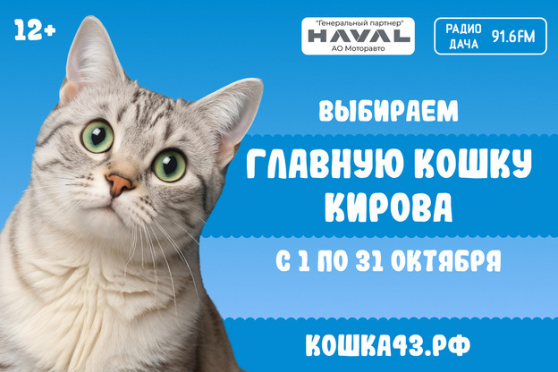    Голосование за звание главной кошки города завершается