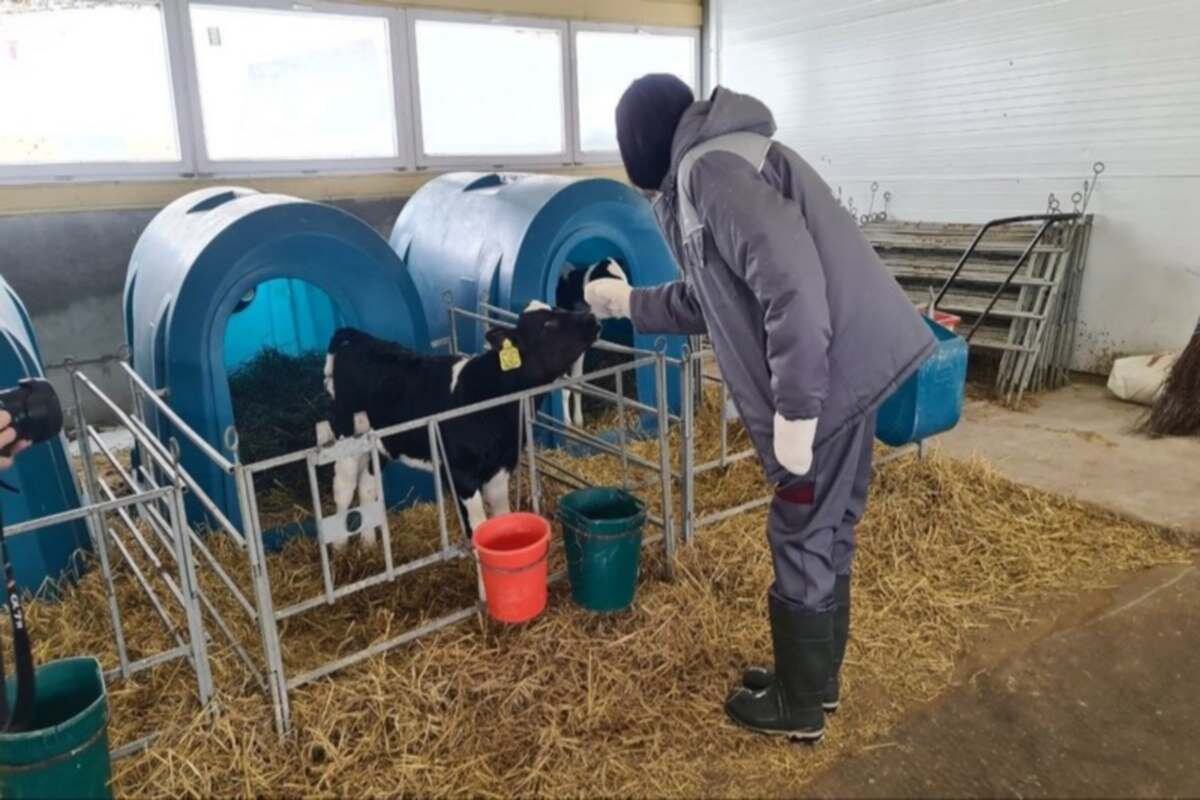    Фото: «Кировская правда», источник: kirovpravda.ru