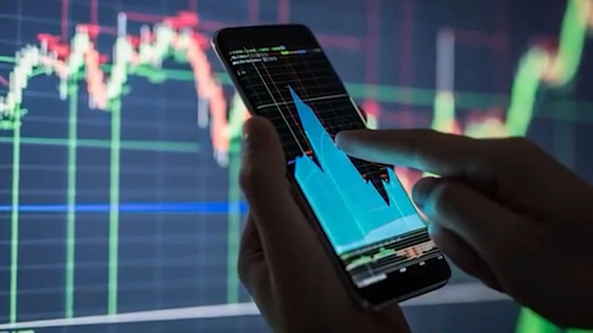    Фото: Вести-Калининград