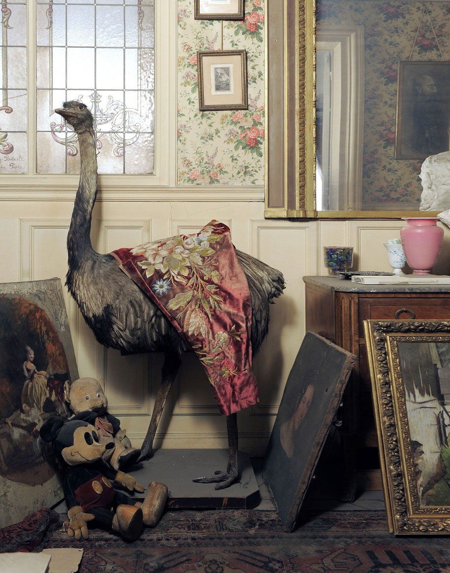 Источник: mydecor.ru