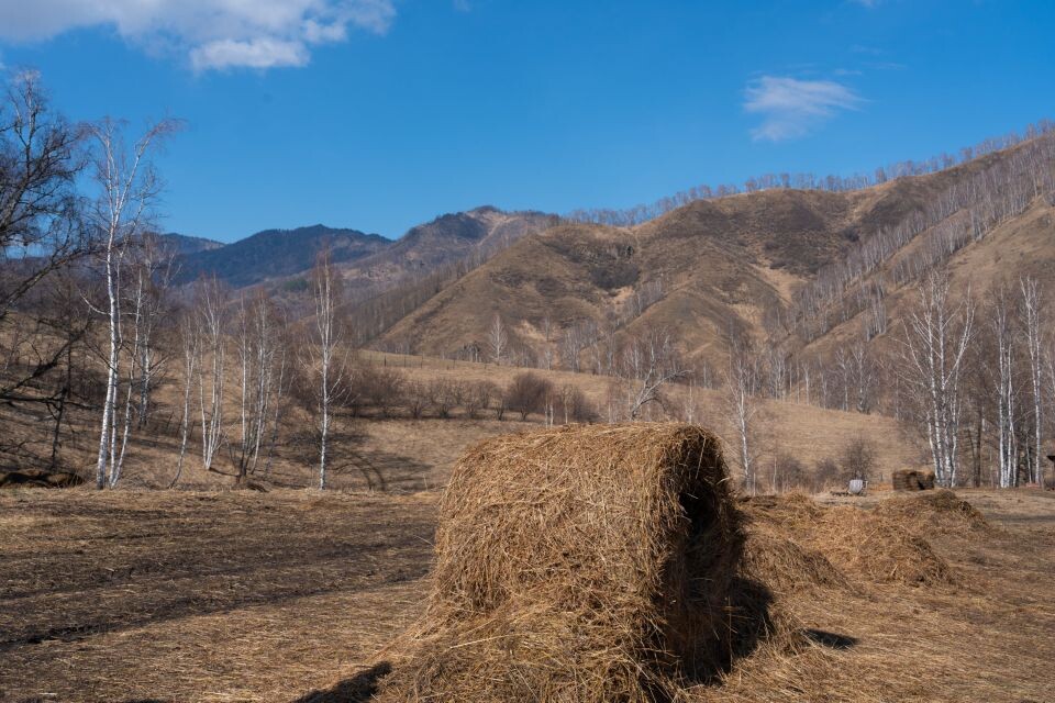     Зубровый питомник. Источник: Андрей Сороко/"Толк"