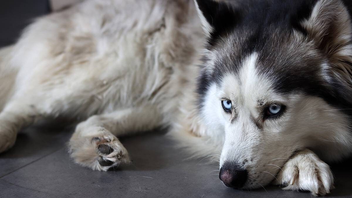    Фото: Shutterstock