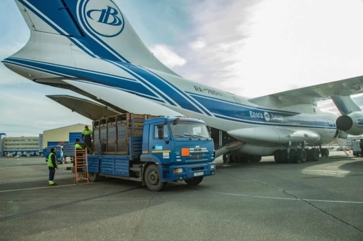    При содействии оренбургских газодобытчиков лошади Пржевальского отправились в Хакасский заповедник.