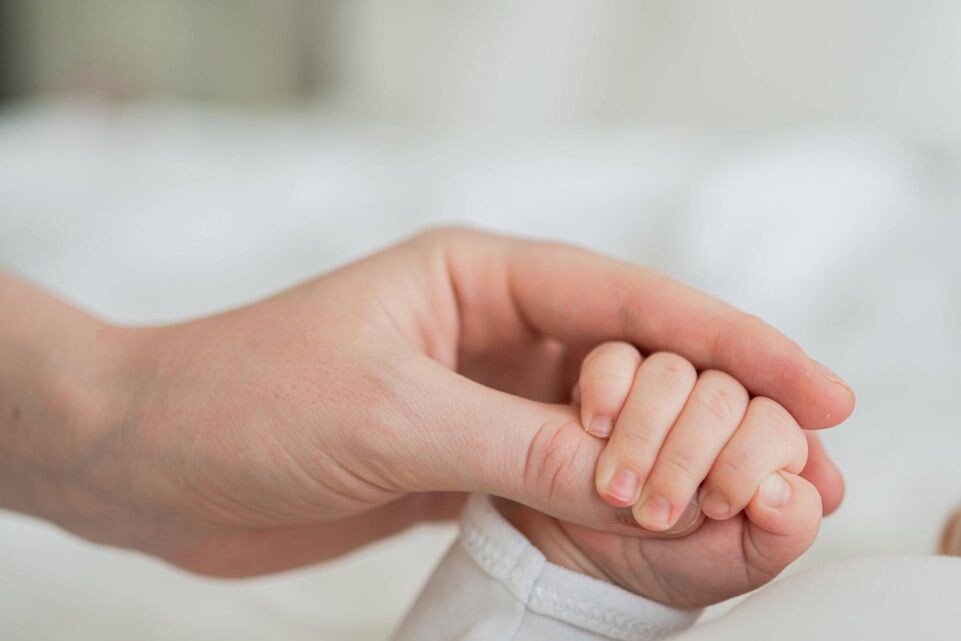    IMAGO/Zoonar.com/Iuliia Zavalish / www.globallookpress.com