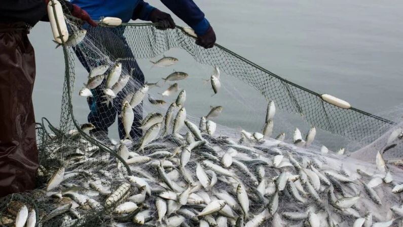    Фото: Watchares Hansawek/Shutterstock/Fotodom