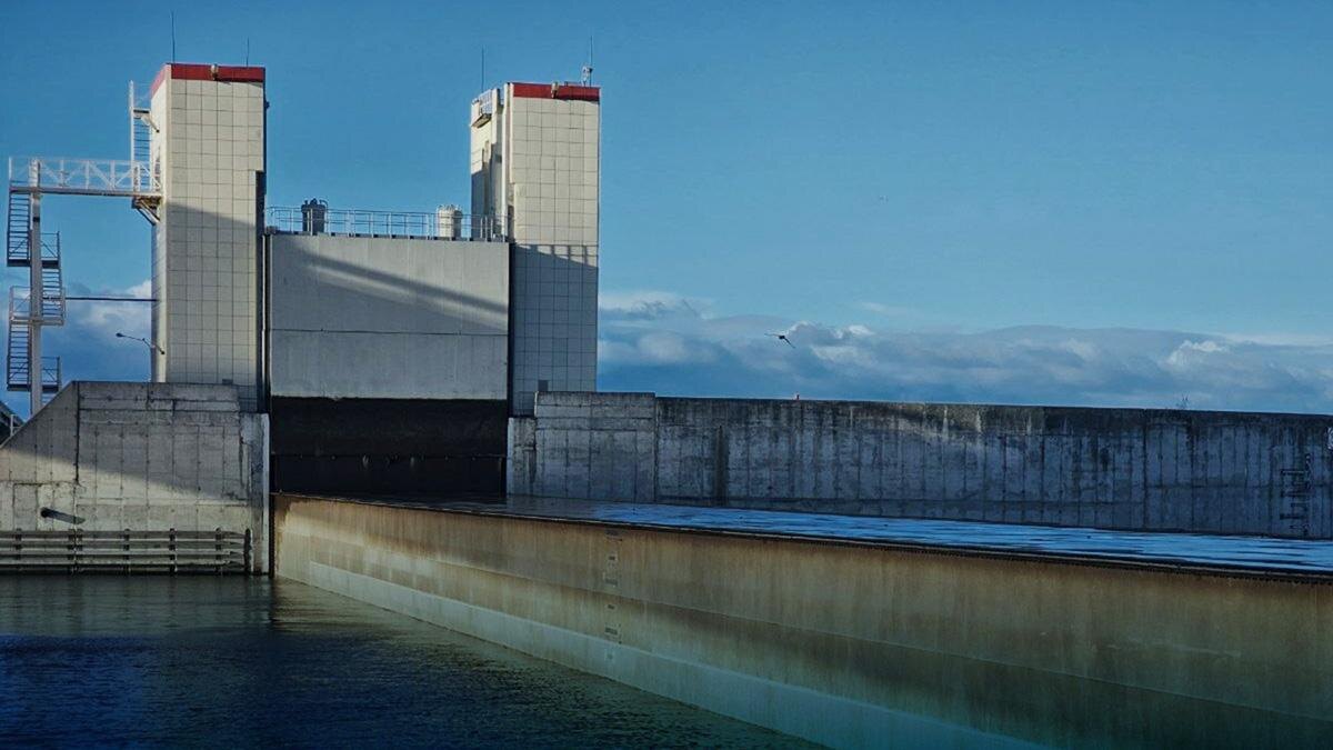    Фото: vk.com/damba_spb