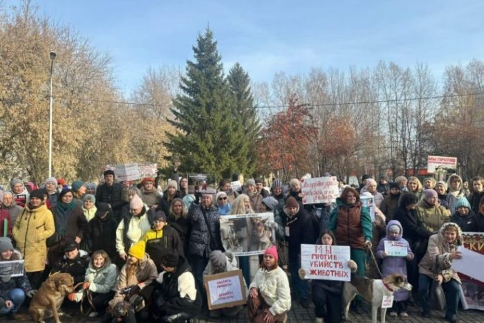 Фото «Прецедент».