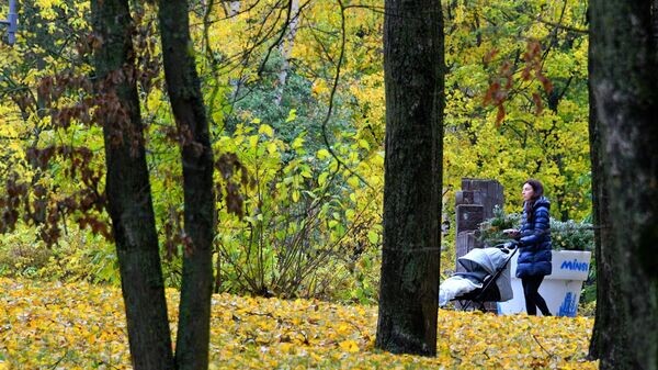    © Sputnik / Виктор Толочко