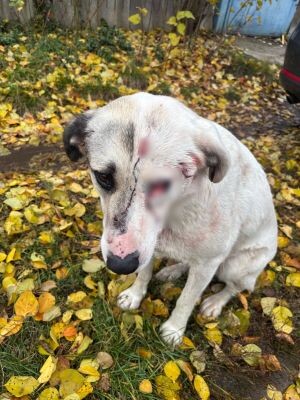    Фото: читатель «МОЁ!»