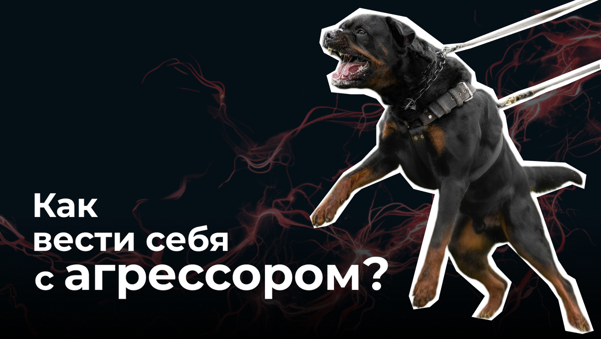 Как вести себя с агрессором?