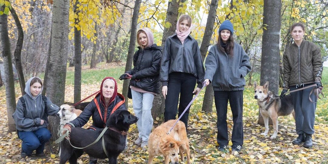 🎉 Как волонтёры из РГГУ устроили праздник питомцам «Приюта Бирюлёво