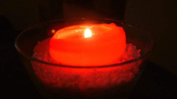 Фото: Виктор Лисицын/Globallookpress.