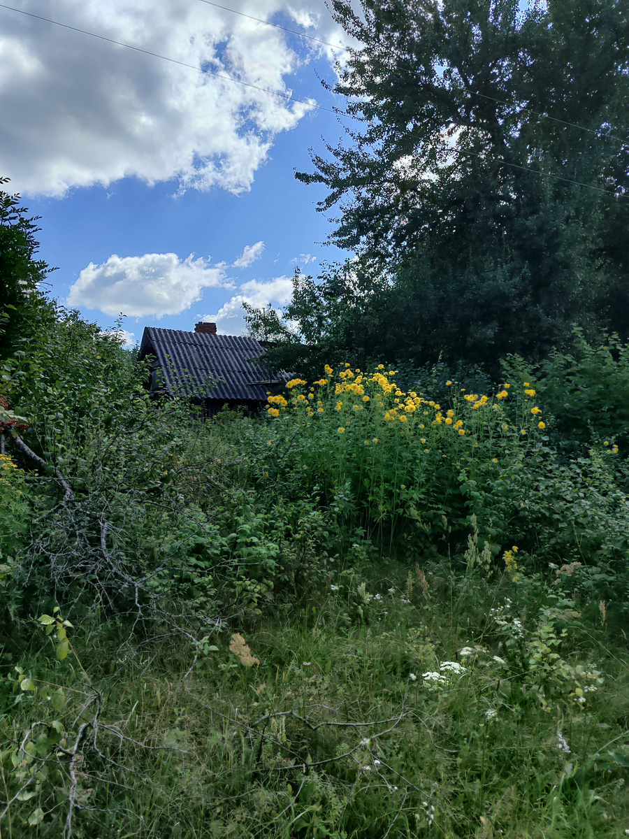 Когда то здесь кипела жизнь