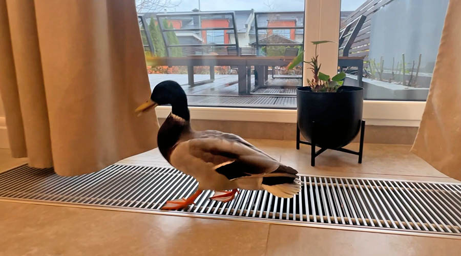    © АО "ТВ Центр"