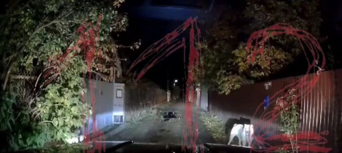 Иллюстрация: скриншот видео