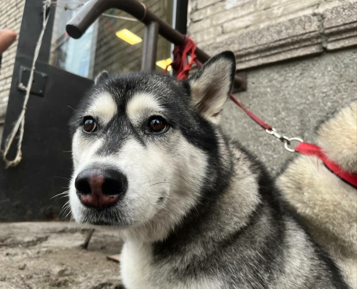 Фото: Neva.Today