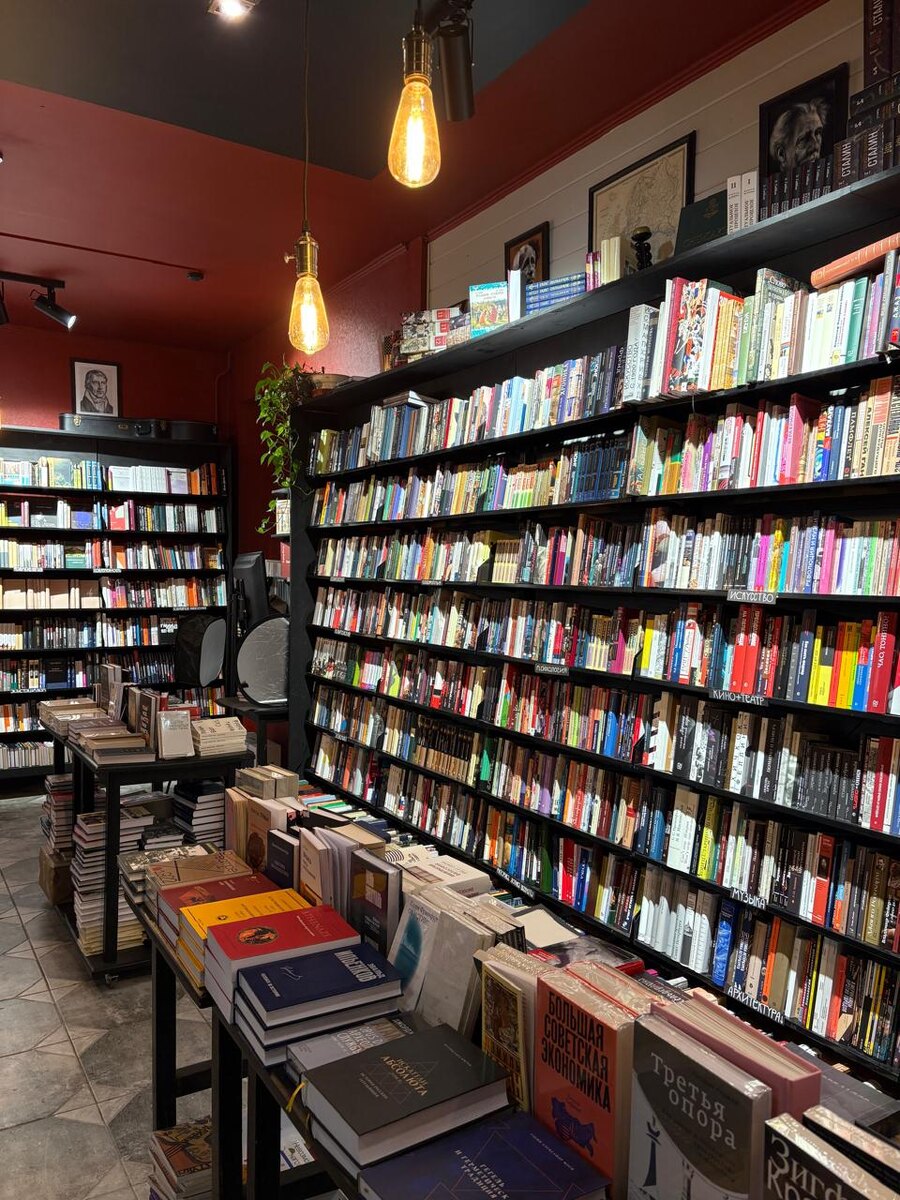 Достоевский не учился философии, не писал философские трактаты и не претендовал на звание философа.
Современники не рассматривали его сочинения с философской точки зрения.
Но американский доктор философии, почетный профессор Университета штата Огайо, специалист в области истории русской философии и советского марксизма Джеймс Сканлан, исследовавший взгляды Достоевского и Толстого и переводящий русских философов на английский язык, сказал: «даже самый суровый критик должен признать, что Достоевский при всей своей удаленности от академической философии был одним из самых философских писателей».