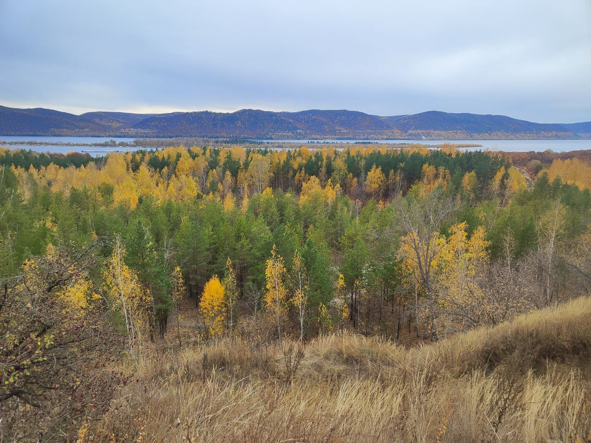 Фото автора.