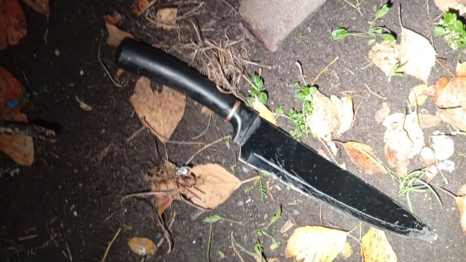 Фото: ГУ Росгвардии по Петербургу и Ленобласти