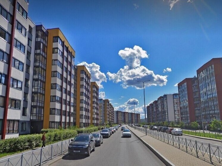     Фото: пресс-служба Смольного.