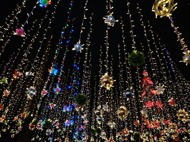    фото: Елена Костюченкова