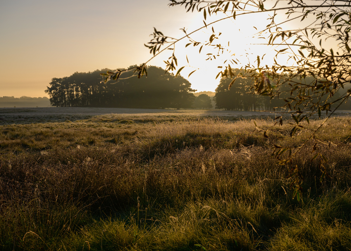 фото:Patrick Pleul/dpa/Global Look Press
