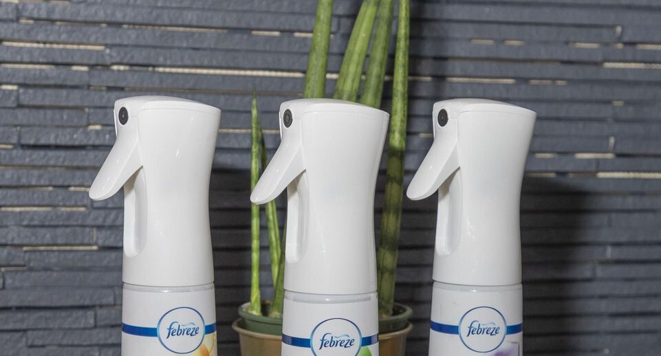    Sam Aronov/ZUMAPRESS.com / www.globallookpress.com