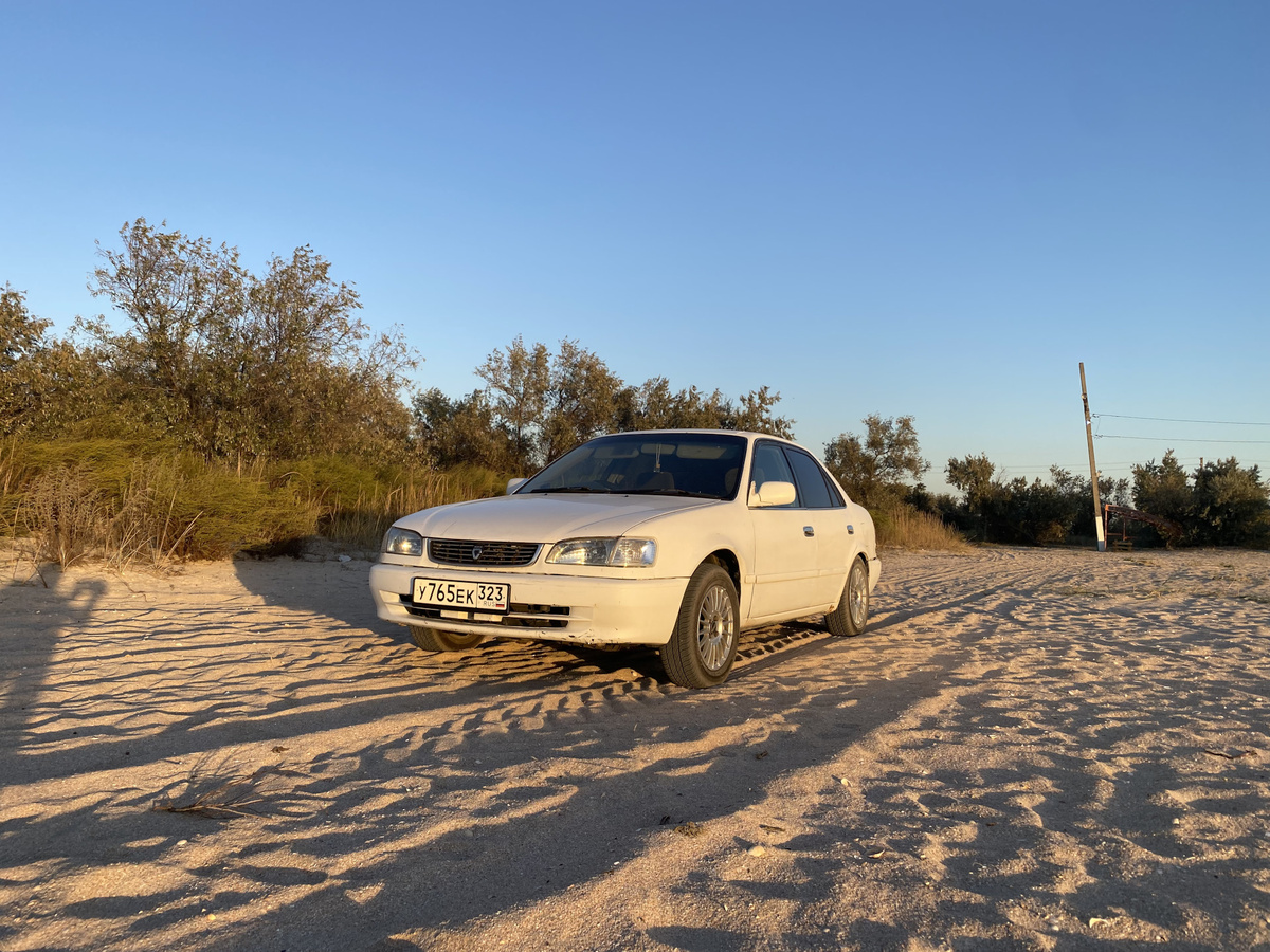 Доброго денечка!