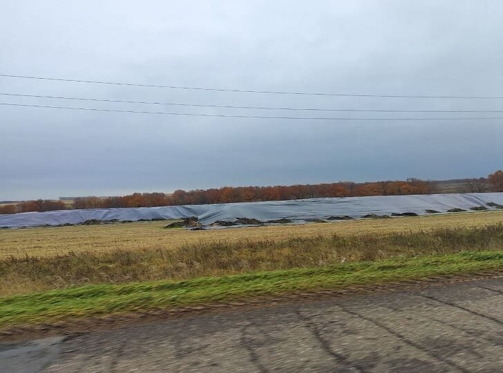 Почему фермеры Башкирии бросают зерно гнить на полях? Минсельхоз нашел объяснение