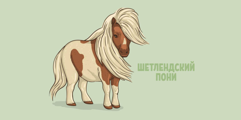 По́ни (от галльс. ponaidh)