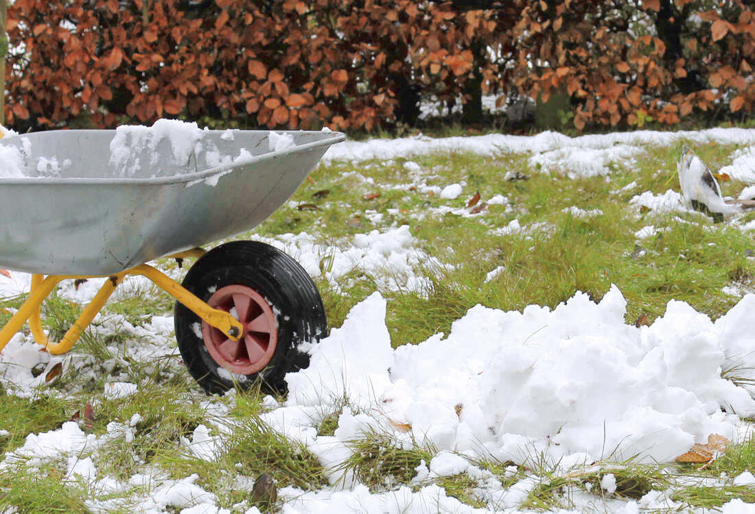 Шпаргалка садовода огородника: 7 важных дел, которые необходимо сделать на даче, в ноябре