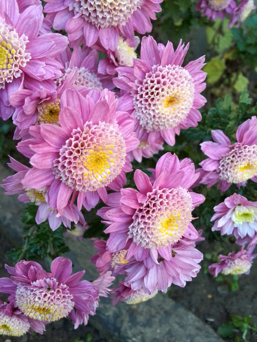 Фото из архива автора.