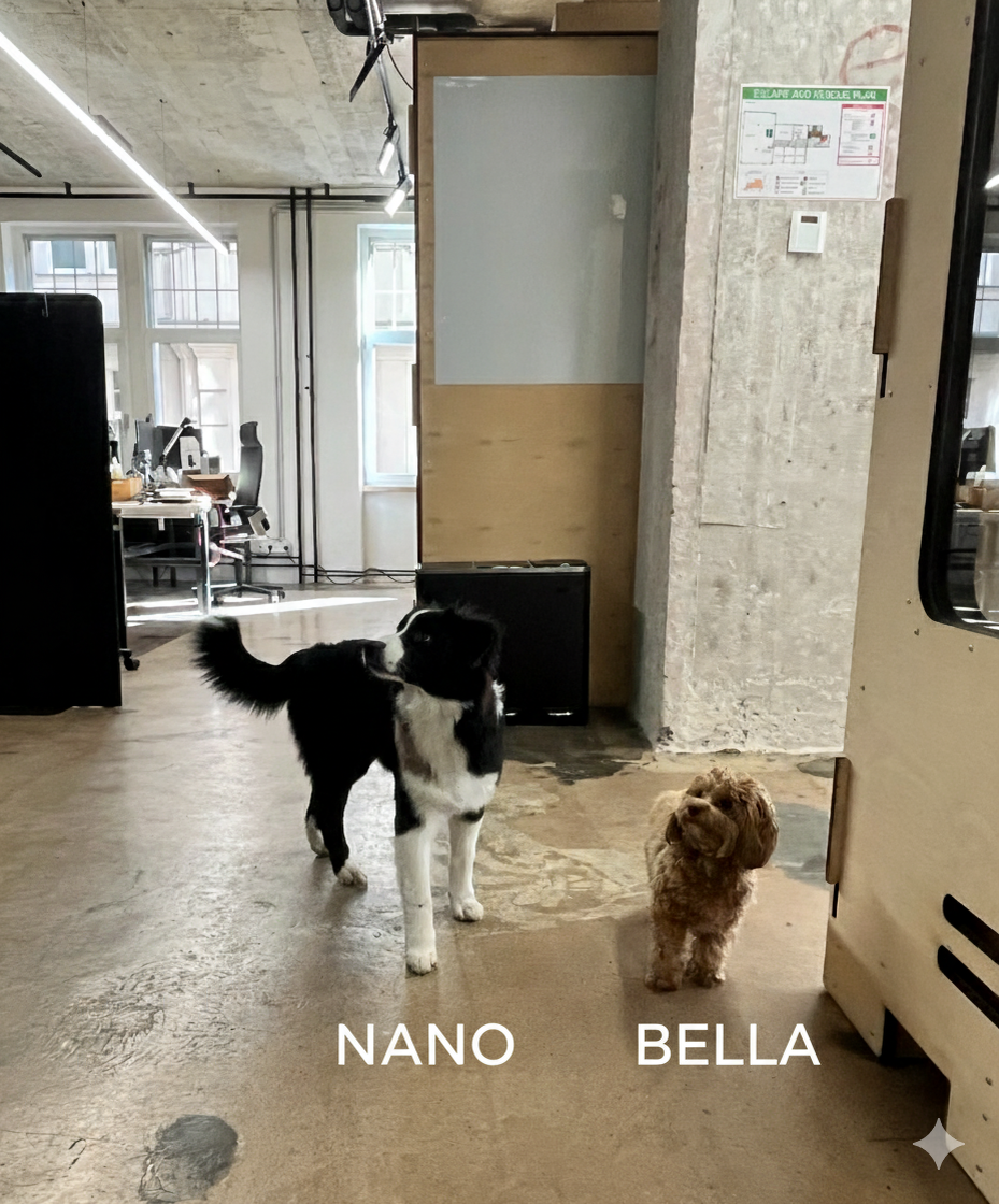 Мои коллеги :)