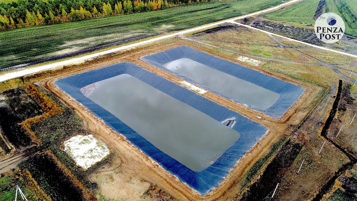 Лагуны в животноводческом комплексе «Черкизово». Источник: penza-post.ru