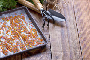 /  ФОТО предоставлено Пресс-центром ФГБУ Россельхозцентр по Ростовской области Администратор  📷
