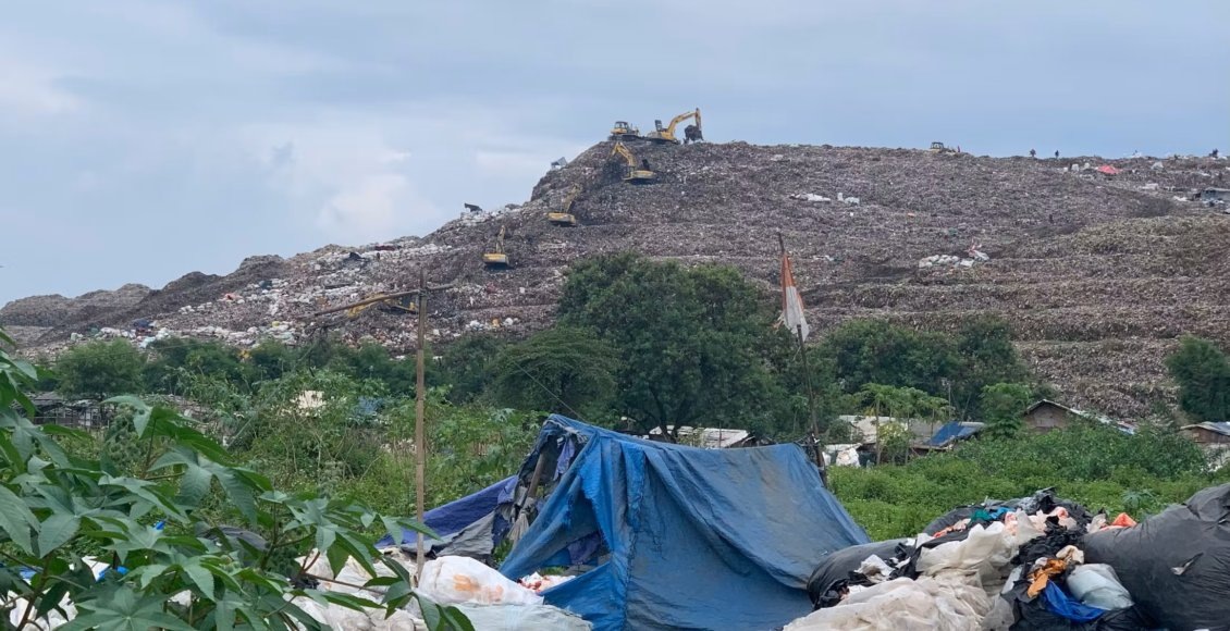    Фото: Робин Хикс / Eco-Business