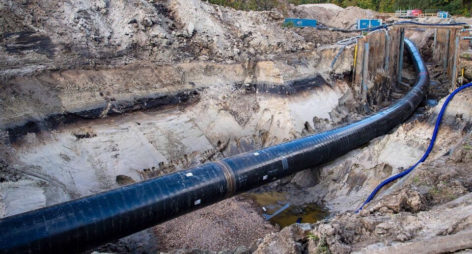    Sina Schuldt/dpa / www.globallookpress.com