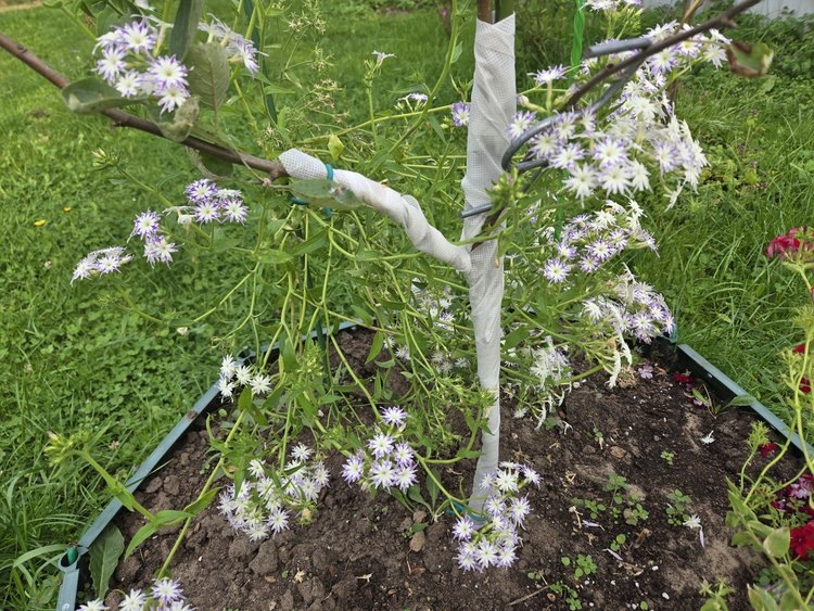    Фото: Лукьянов Дмитрий, AgroXXI.ru