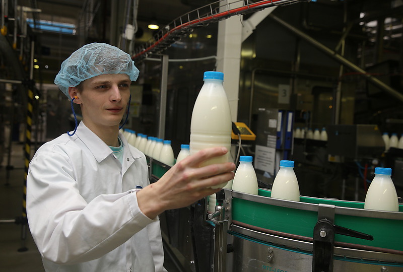 «Корова бы это не узнала!» — сказал знакомый технолог с молокозавода. После его рассказа я выбросил всю молочку из дома