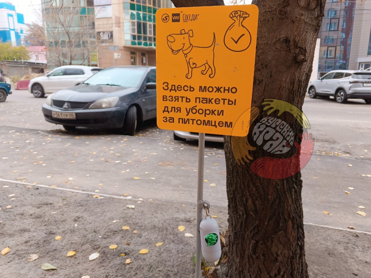 Фото: Курский Край