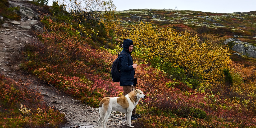 Кандалакша. Гора Волосяная: священные камни и загадочный пёс