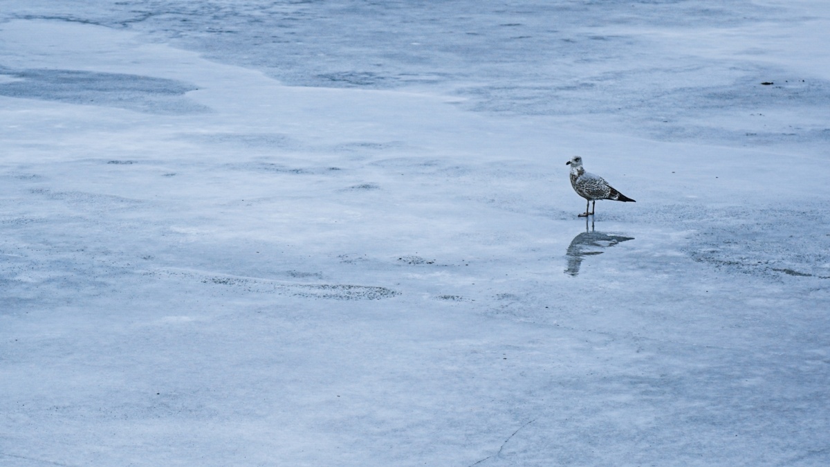 Светлана Мулыкина📷
