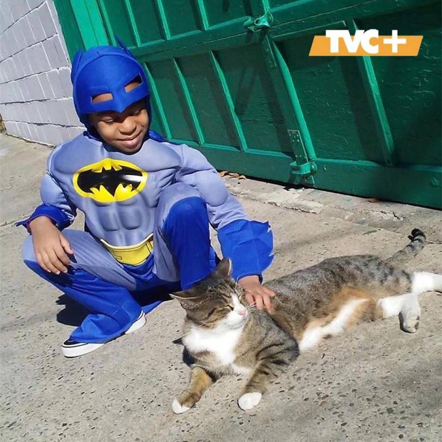 «Котмэн»